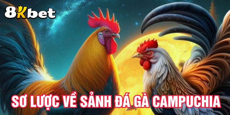 so-luoc-ve-sanh-da-ga-campuchia